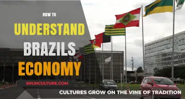 Decoding Brazil's Economy: Key Insights for Understanding Its Complex Dynamics