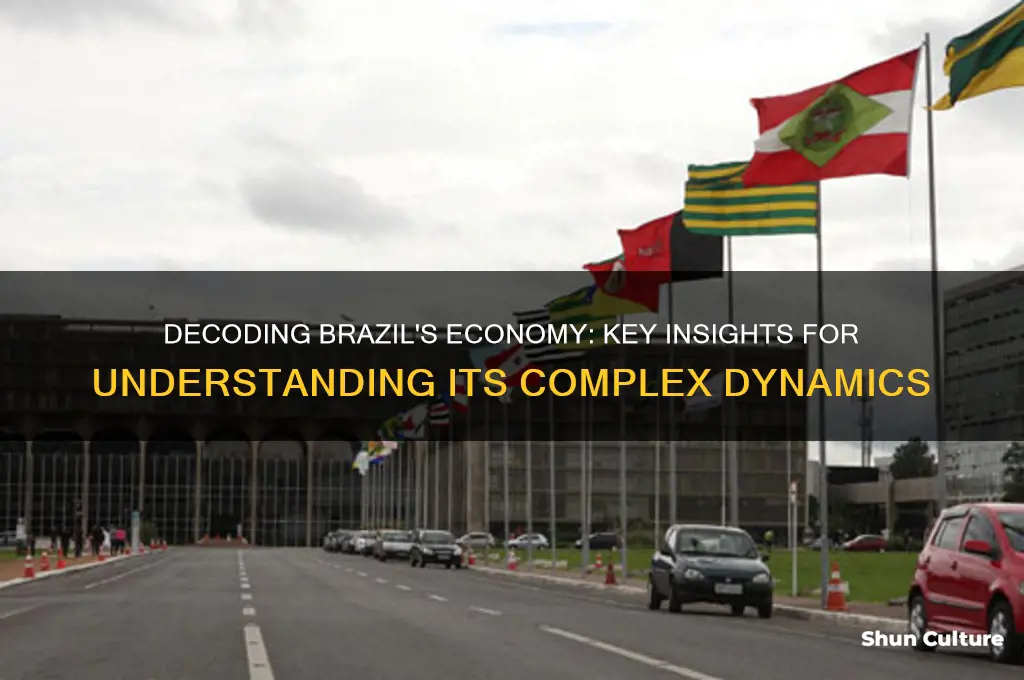 how to understand brazils economy