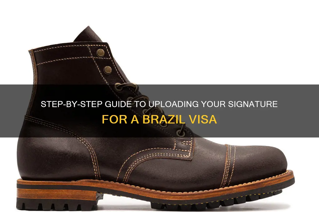 how to upload signature for brazil visa
