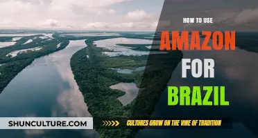 Mastering Amazon in Brazil: A Comprehensive Guide for Shoppers