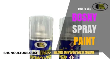 Mastering Bosny Spray Paint: Tips, Techniques, and Creative Applications