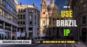 Mastering Brazil IP: A Comprehensive Guide to Access and Usage