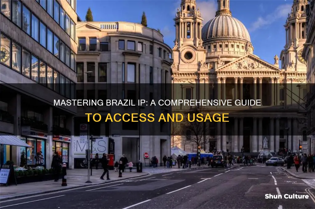 how to use brazil ip