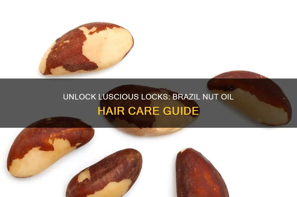 how to use brazil nut oil for hair