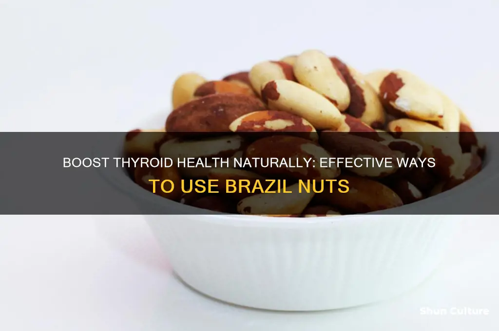how to use brazil nuts for thyroid
