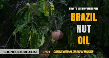 Unlocking Brazil Nut Oil's Versatility: Creative Uses for Radiant Skin & Hair
