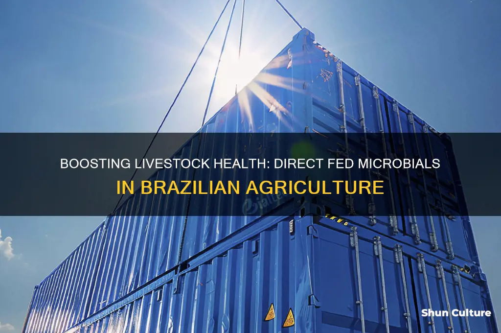 how to use direct fed microbial in brazil