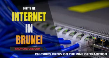 Internet Access in Brunei: A Guide to Getting Online