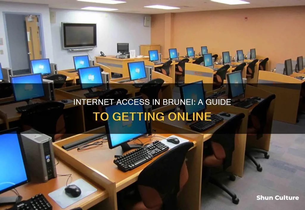 how to use internet in brunei