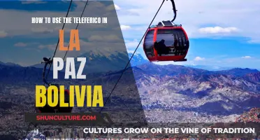 Navigating La Paz: Using the Teleferico System