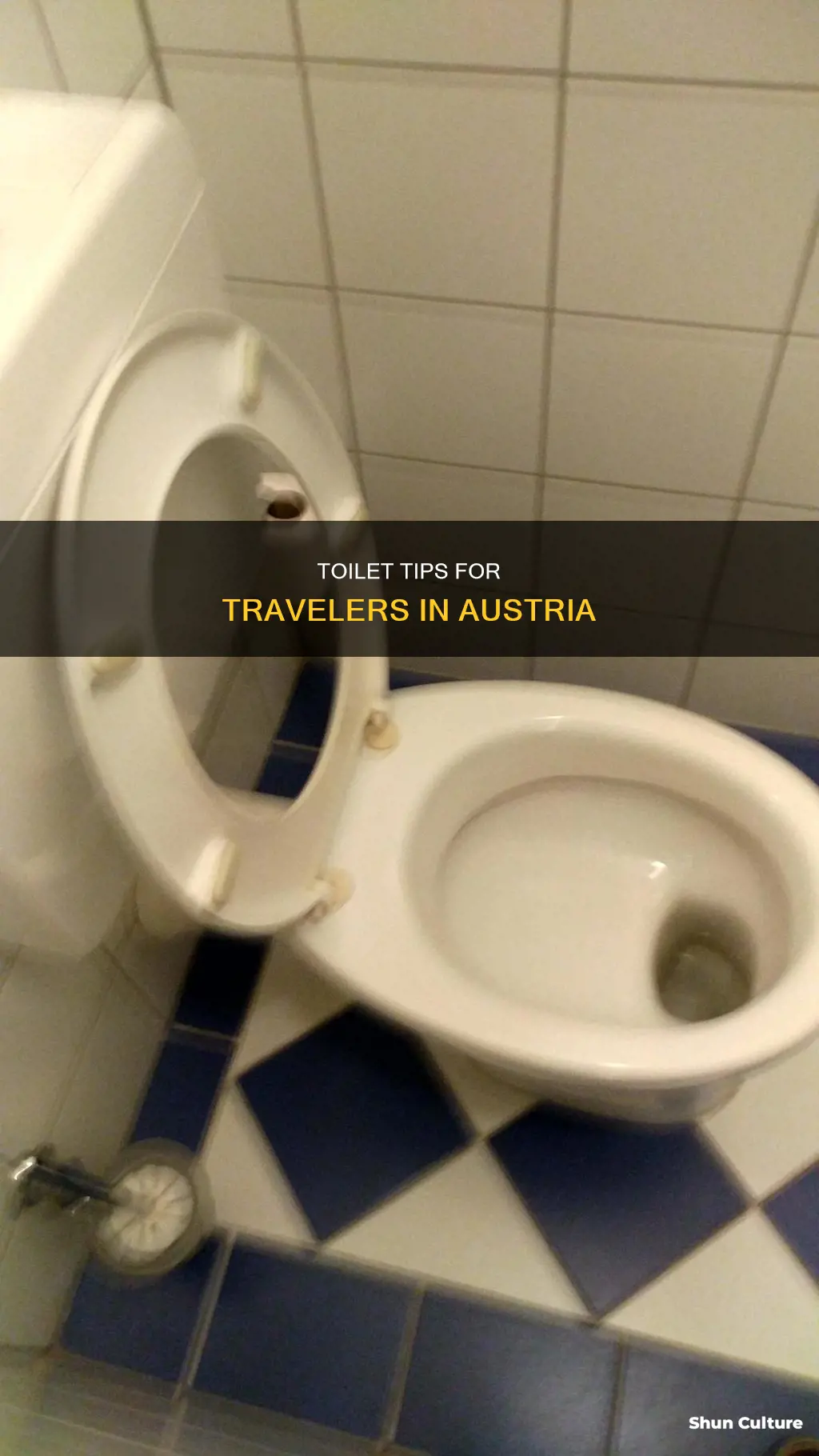 how to use toilet in austria