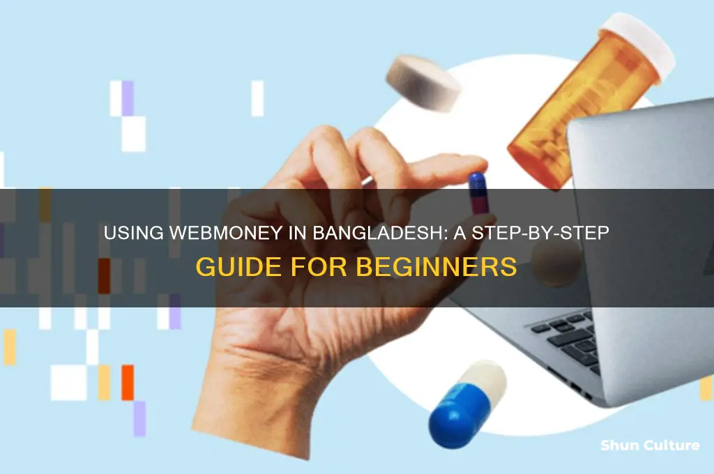 how to use webmoney in bangladesh