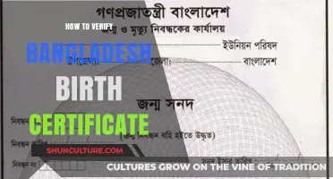 Verify Bangladesh Birth Certificate: A Step-by-Step Guide for Accuracy