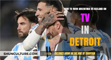 Detroit Viewers' Guide: Watch Argentina vs Iceland Live on TV