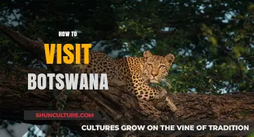Exploring Botswana: Ultimate Guide to Planning Your Adventure