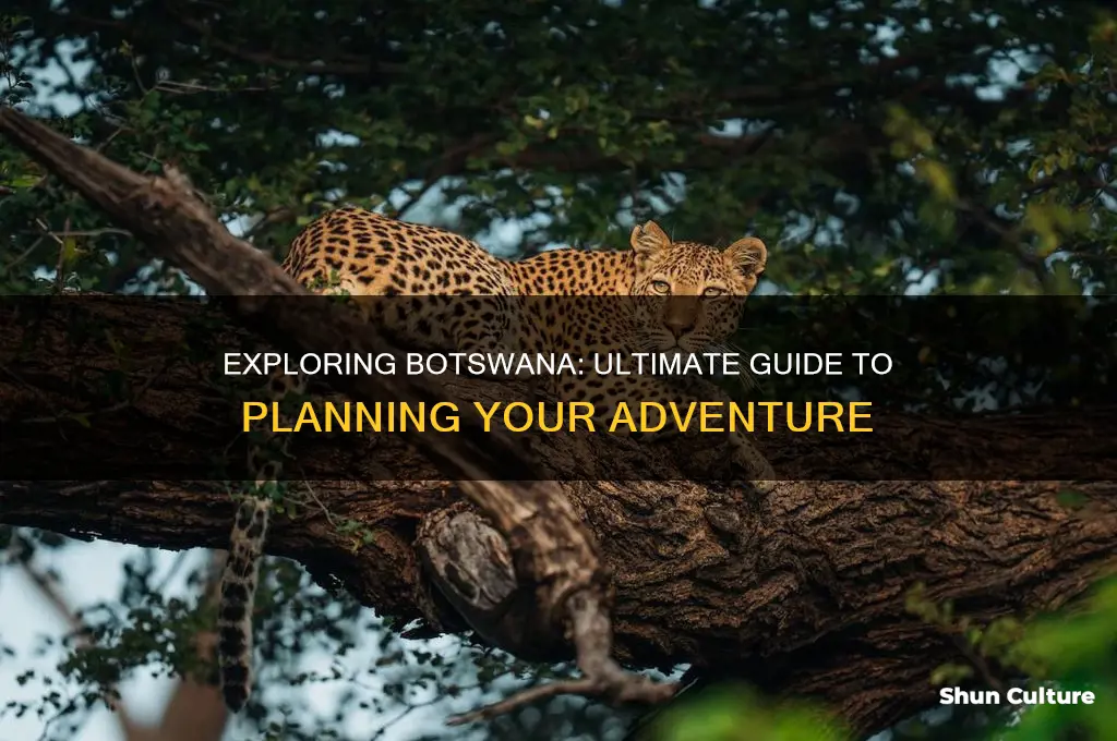 how to visit botswana