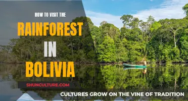 Exploring Bolivia's Rainforest: A Travel Guide