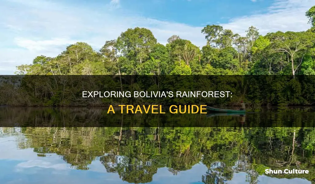 how to visit the rainforest in bolivia