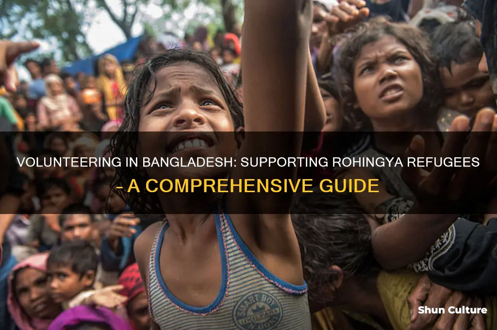 how to volunteer in bangladesh rohingya
