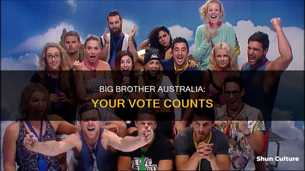 how to vote big brother australia