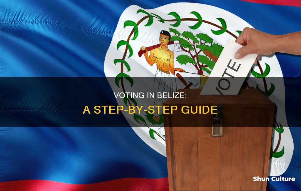 how to vote in belize