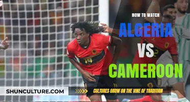 Watch Algeria vs Cameroon Live: Streaming Guide and Match Details