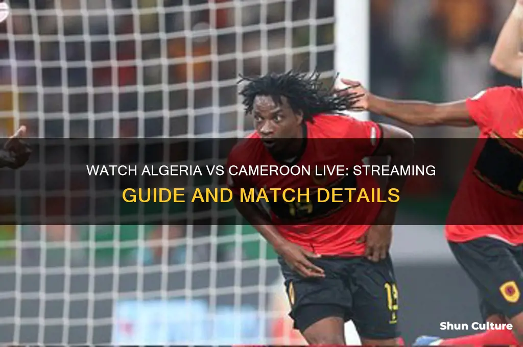 how to watch algeria vs cameroon