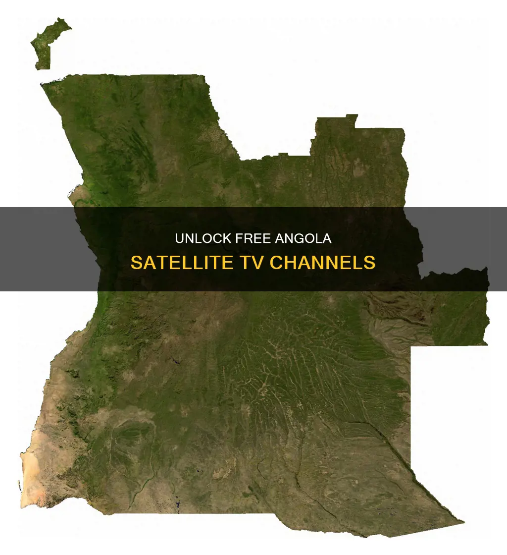 how to watch angola satellite tv for free