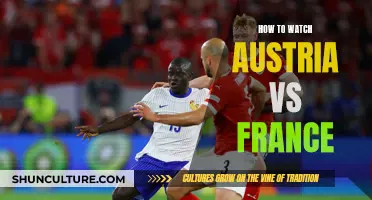 Watch Austria vs France: Live Stream Guide