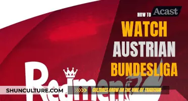 A Guide to Watching Austrian Bundesliga Matches