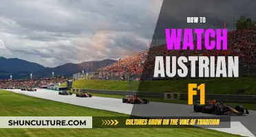 Enjoying Austrian F1: A Viewer's Guide