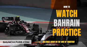 Bahrain Practice: Watch Live and Unmissable Action