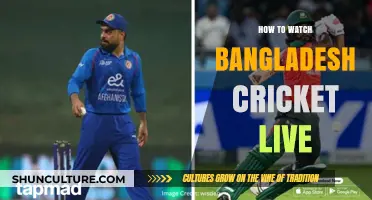 Watch Bangladesh Cricket Live: Easy Streaming Tips & Channels
