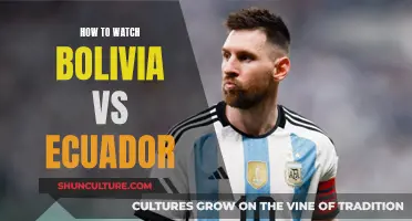 Watch Bolivia vs Ecuador: A Guide to Streaming