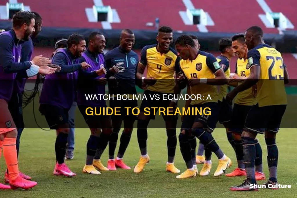 how to watch bolivia vs ecuador