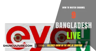 Watch Channel 9 Bangladesh Live: Easy Streaming Guide