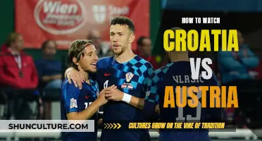 Croatia vs Austria: Watch the Match Live