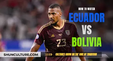 Ecuador vs Bolivia: Streaming the CONMEBOL Qualifiers