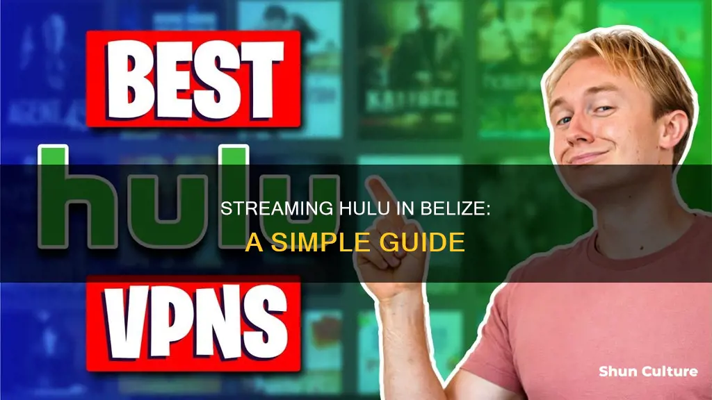 how to watch hulu in belize