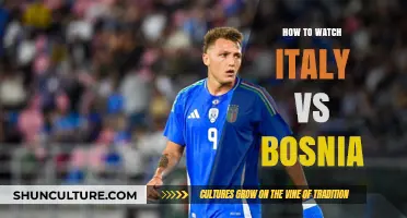 Watch Italy vs Bosnia Live: Streaming Guide & Match Details
