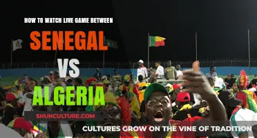 Senegal vs Algeria Live: How to Watch the Match Online