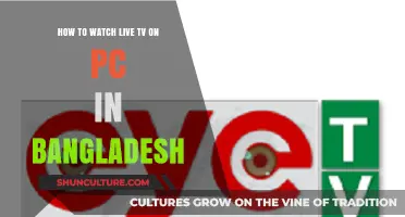 Watch Live TV on PC in Bangladesh: Easy Streaming Guide
