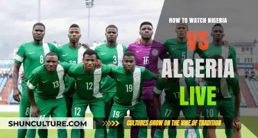 Nigeria vs Algeria Live: Stream the Match Online Easily