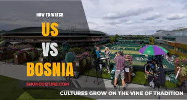 US vs Bosnia: Live Stream Guide and Viewing Tips