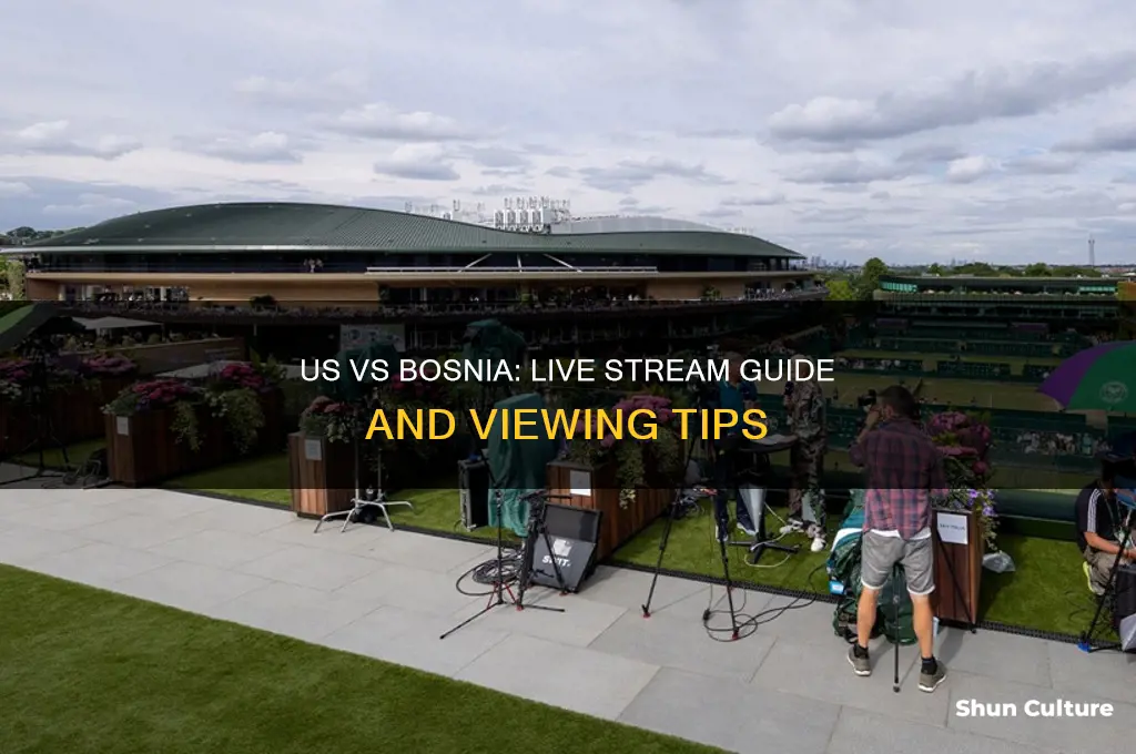how to watch us vs bosnia