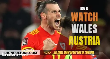 Watch Wales vs Austria: A Simple Guide