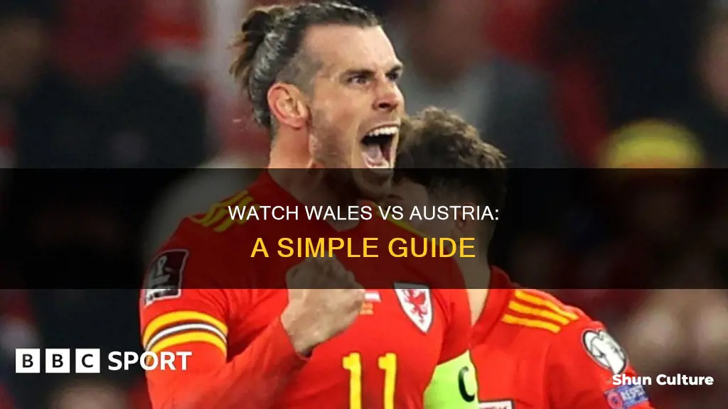 how to watch wales austria