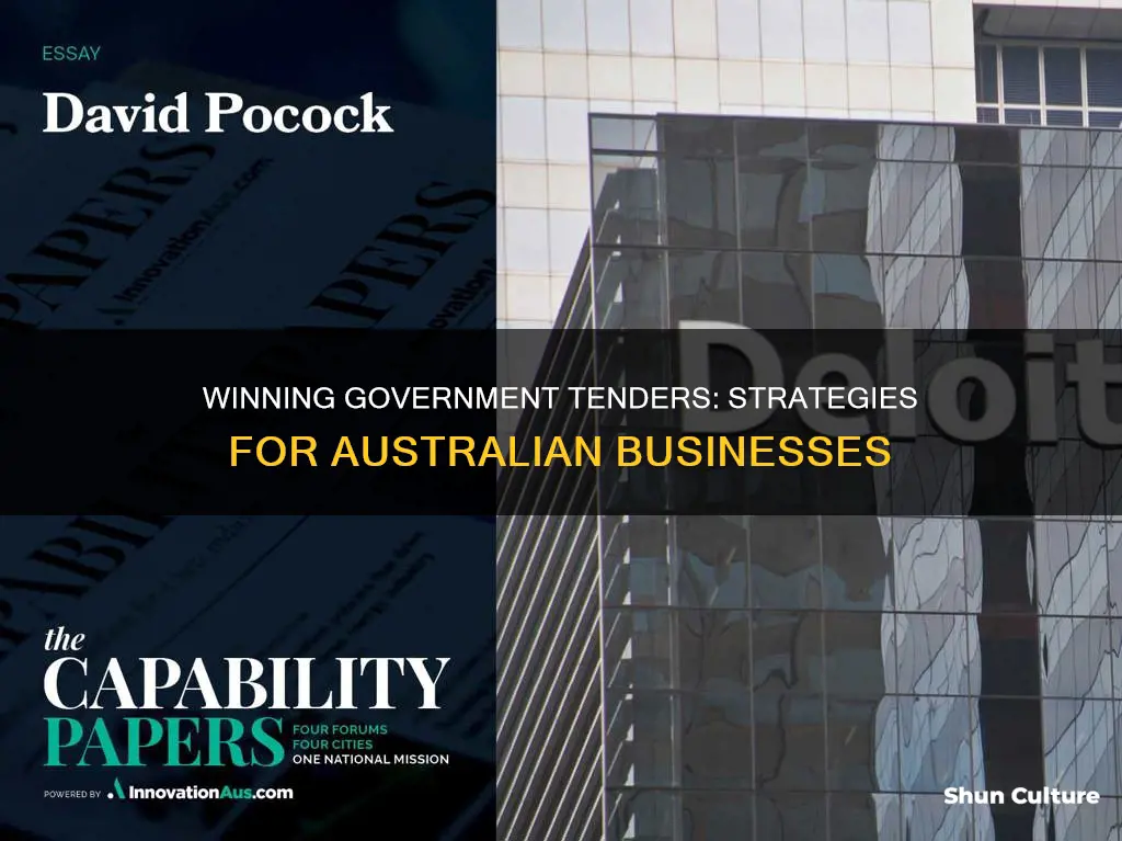 how to win government tenders australia