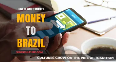 Step-by-Step Guide to Securely Wire Transferring Money to Brazil