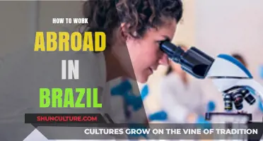 Unlock Your Dream Job: A Guide to Working in Brazil